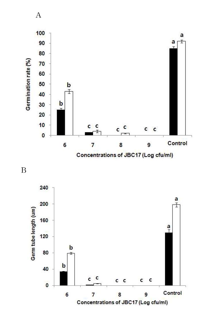 Percent germination and germ tube length of P. digitatum and P. italicum conidia in presence of JBC17.