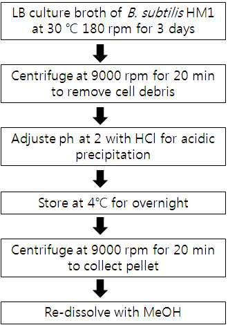 Process of lipopeptides extraction.