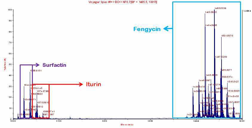 MALDI-TOF MS analysis of lipopeptides from B. subtilis strain HM1. Fengycin, iturin and surfactin mass peaks were detected in crude extracts prepared from the culture filtrate of the strain HM1 grown in the LB medium