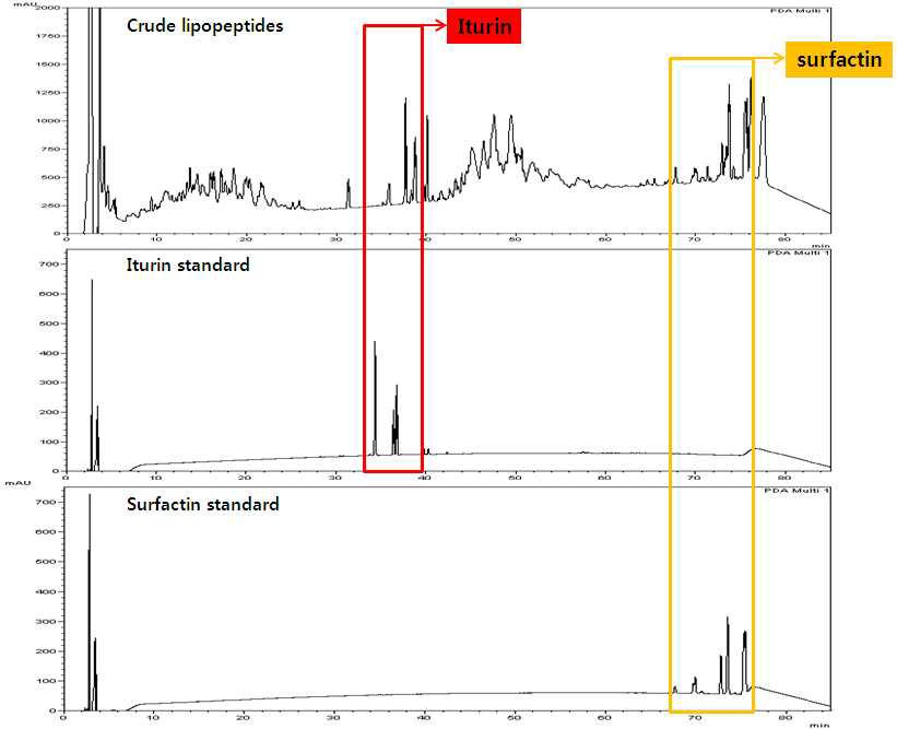 HPLC chromatogram of lipopeptides extracted from culture supernatant of B. subtilis HM1. The eluted fractions were detected at absorbance of 210nm. Iturin was eluted at 40∼46min and fengycin was eluted at 54∼55min of retention time, while surfactin was detected at 73∼75min. 160 fractions were collected by every 30 sec.