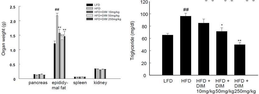 고지방 식이로 유도되는 동물 모델에서 3,3' -diindolylmethane의 부고환 지방 과 혈중 중성 지방 감소 효능 확인