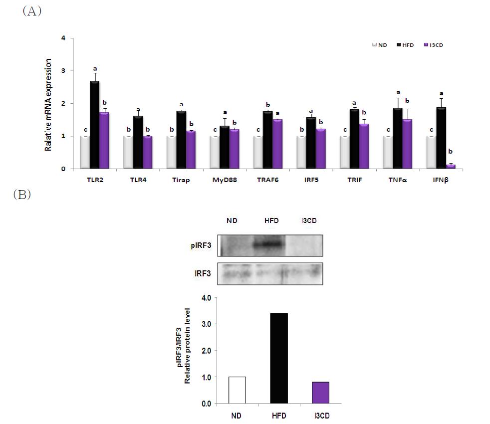 Indole-3-carbinol 섭취로 인한 TLR관련 pro-inflammatory 유전자 발현 저해효과 확인.