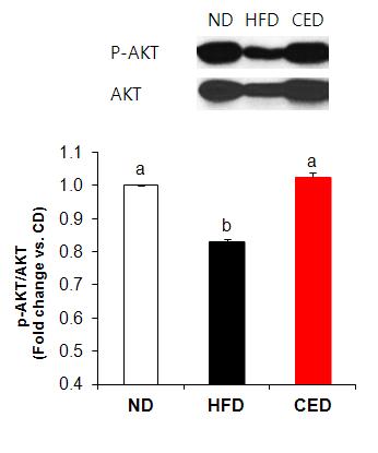 고지방식이를 먹인 쥐의 지방조직에서의 인슐린에 의한 PI3K/Akt 신호전달에 양배추추출물의 효능 확인