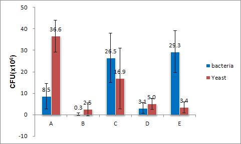 The microbe numbers of Makgeollis prepared commercial Nuruks on day 7.