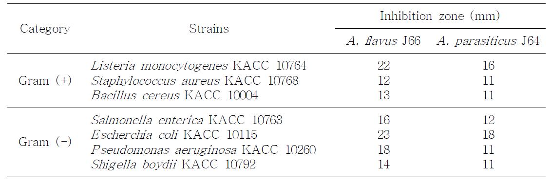 A. flavus 및 A. parasiticus의 항균활성 검증