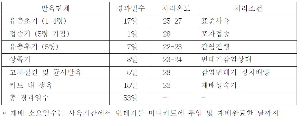 미니키트 내 Paecilomyces tenuipes의 발육 및 경과