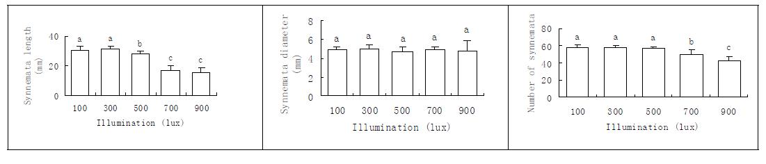 다양한 조도 하에서 P. tenuipes의 자실체의 발육