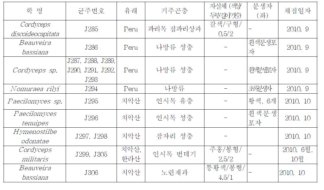 국, 내외 곤충유래 진균자원 17점 확보 및 특성분석