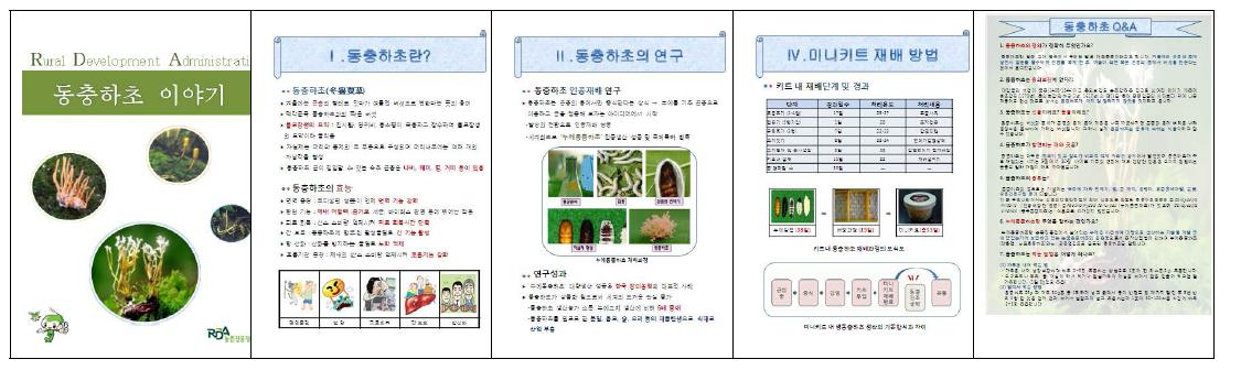 동충하초 홍보물 제작