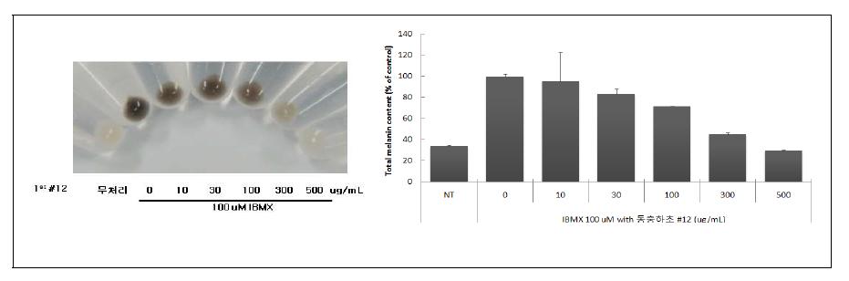 동충하초 균주(No. 1-12)로 부터 미백활성 결과