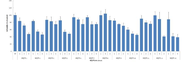 배양액 DW 추출물을 이용한 세포 사멸 측정