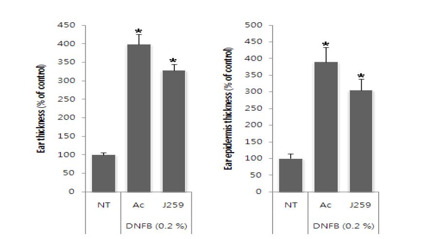 마우스 동물모델을 이용한 J259의 항아토피 활성. 귀와 귀상피 두께의 감소(* p< 0.05).