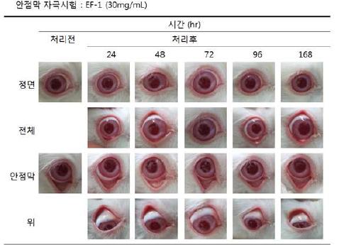 안점막 자극시험(30mg)