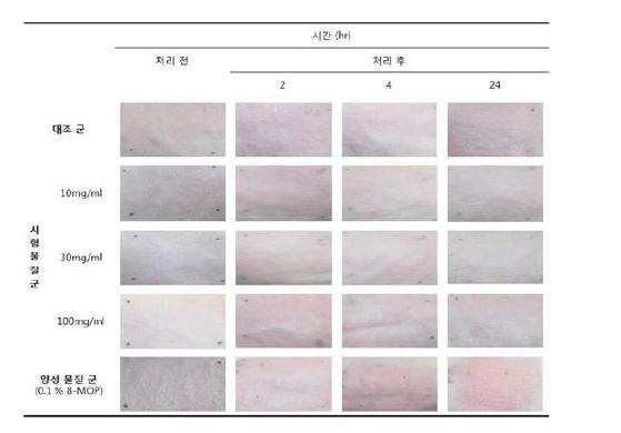 광독성 시험처리결과