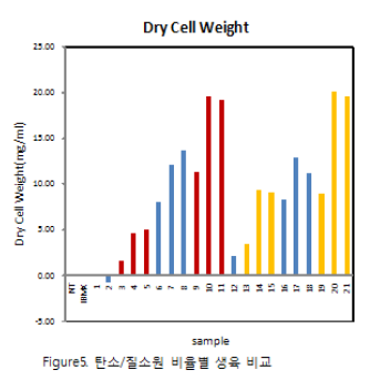 탄소/질소원별 생육비교