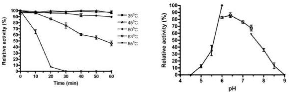 셀룰라아제 CS10의 온도 안정성(좌) 및 pH 안정성(우) 측정 그래프.