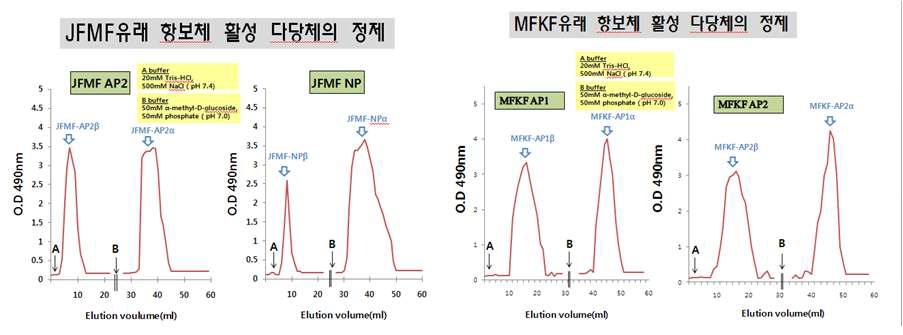 Con A sepharose에 의한 JFMF 및 MFKF 다당체의 분리, 정제