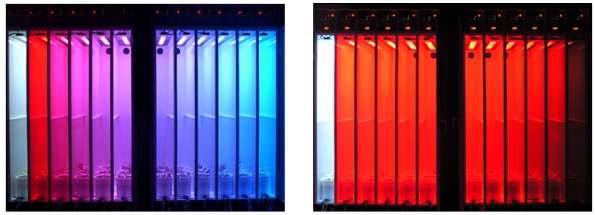 태양광 폐쇄형 환경의 청색/적색(좌), 초적색/적색 LED(우) 혼합광 처리 장치