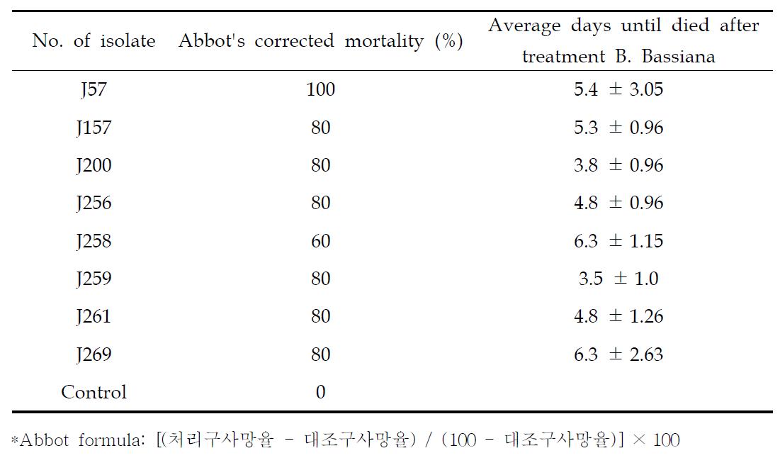 백강균 접종 10일후 갈색여치 약충의 사망률 및 사망소요기간