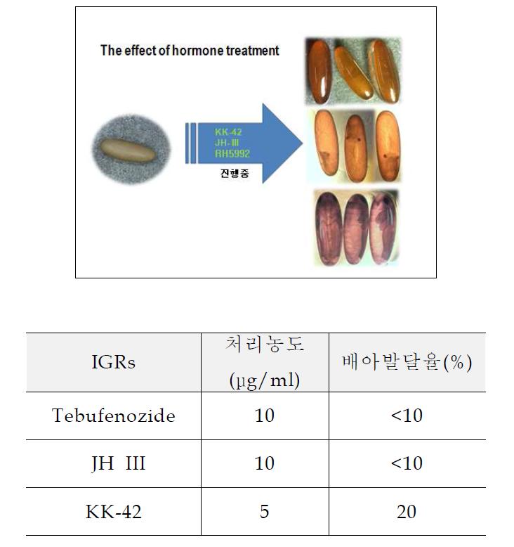 및 표 5. 곤충호르몬 및 IGR 처리효과