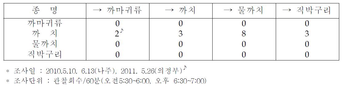 까마귀류, 까치, 물까치, 직박구리 종간 공격행동