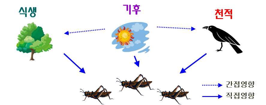 갈색여치 대발생에 영향을 미치는 생물적 • 비생물적 요인과의 상호관계