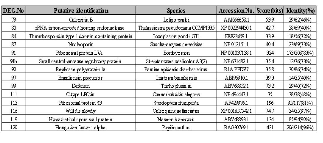 배추좀나방 유충으로부터 선발한 면역 관련 후보 유전자 분리