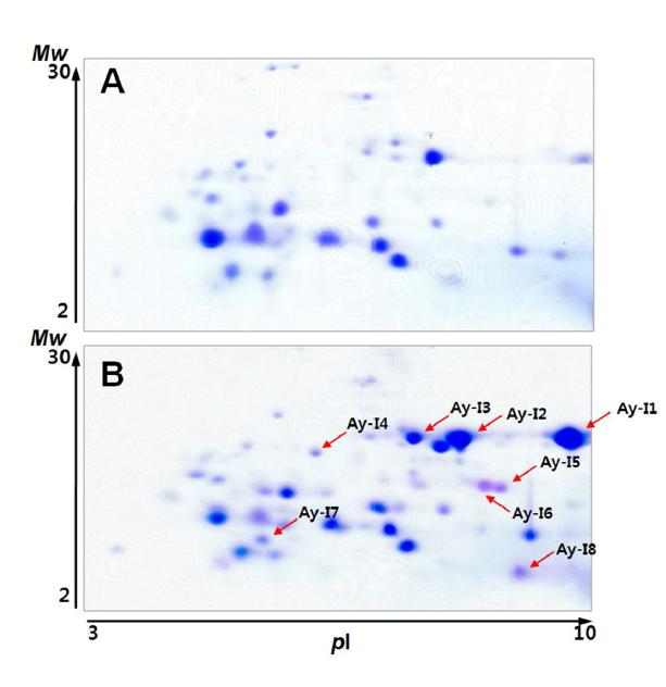 Separation of LPS-induced polypeptides in Acidic extracted hemolymph samples of A.