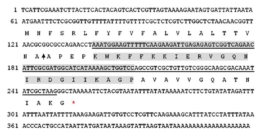 Nucleotide and deduced amino acid sequence of the cDNA encoding for A.