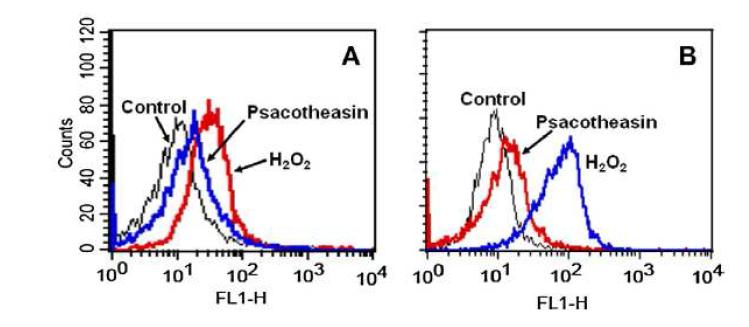 Psacotheasin의 세포내 ROS 및 Hydroxyl radical의 축적 검토
