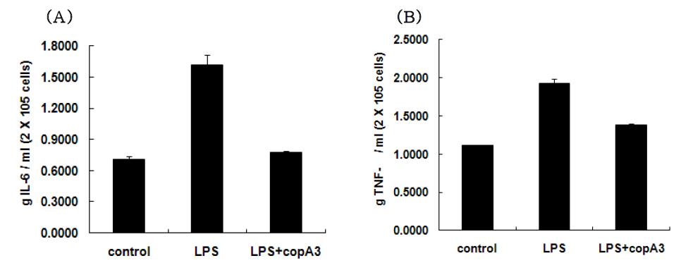 대식세포 활성화를 억제하는 CopA3