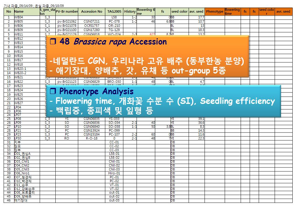 배추 Genotype vs Phenotype 연관 유용유전자 분석을 위한 48종 배추 아종 계통