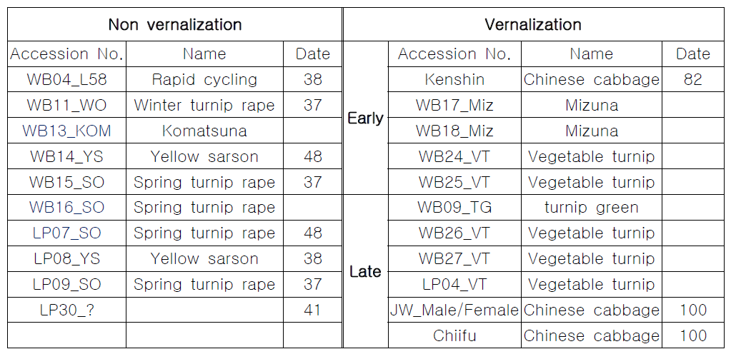 개화형별 배추 자연 변이 집단 분류 및 파종 후 개화 일수 조사