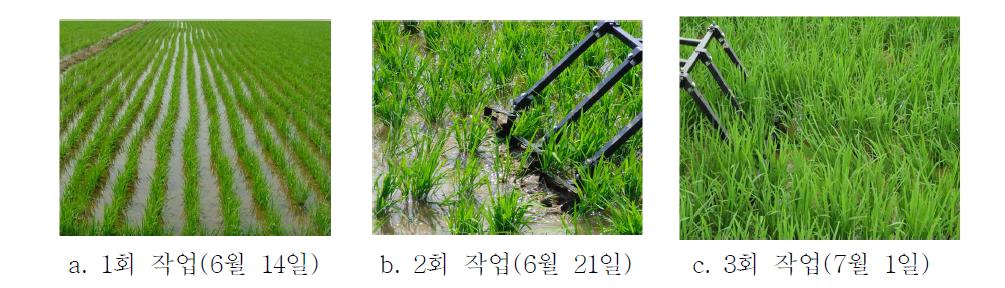 시기에 따른 제초 작업