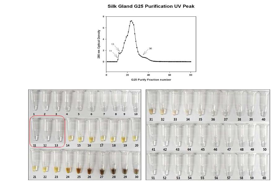 G25 filtration을 이용한 fraction별 tyrosinase 반응 (2) 항산화 효과 측정