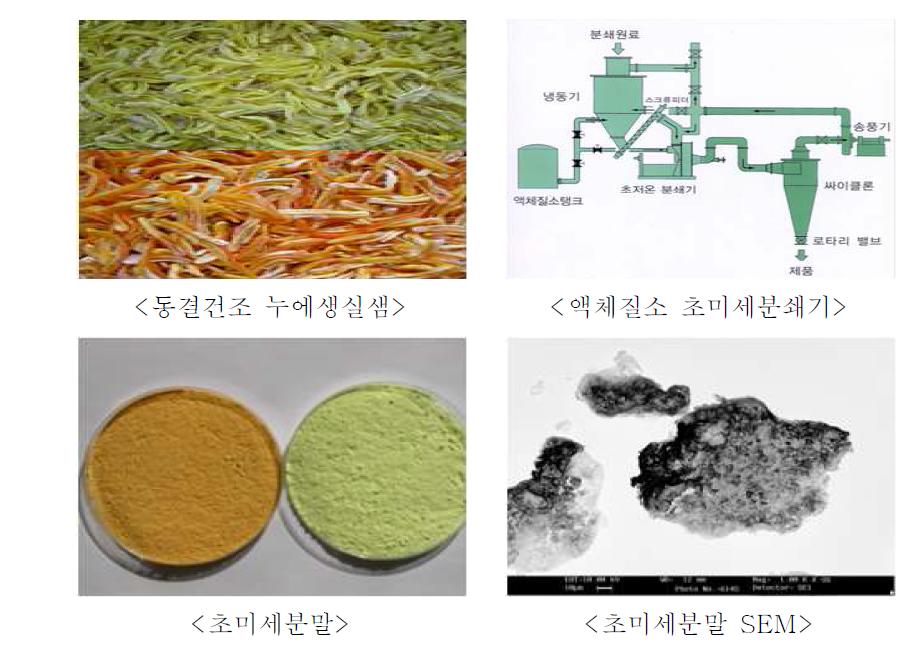 아연함유 누에숙잠 생실샘유래 초미세분말 제조