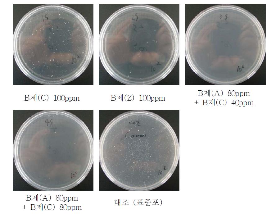 처리조건 별 황색포도상규균 항균 결과