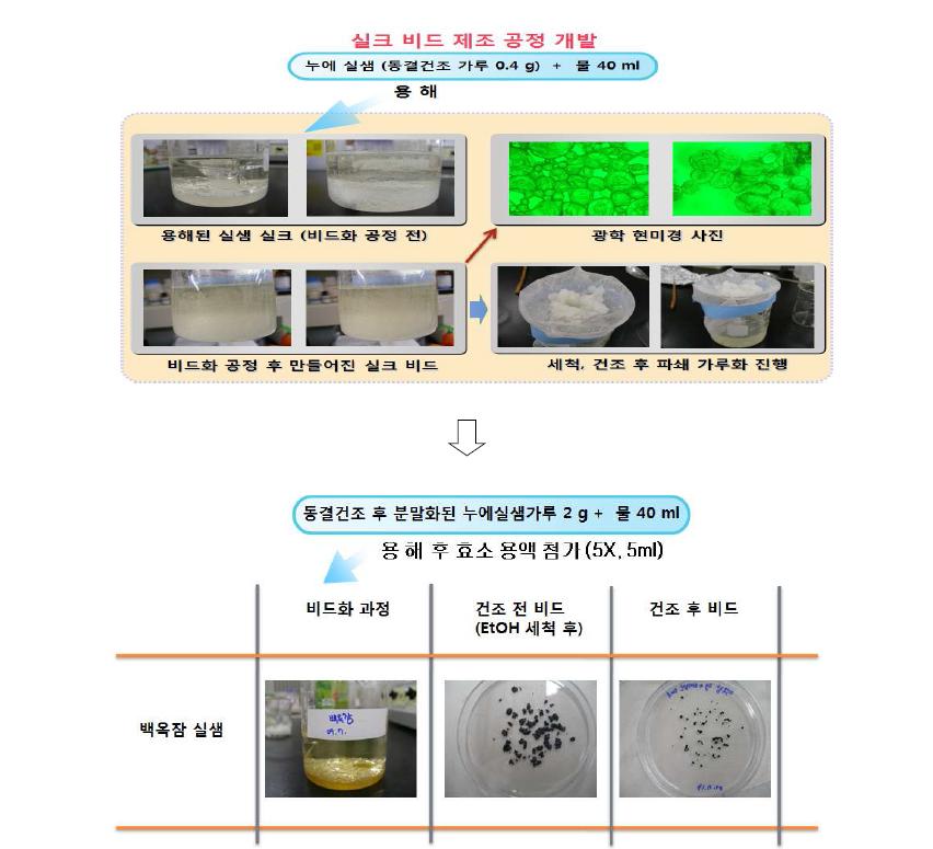 누에 실샘을 이용한 비드형태의 원료 제조