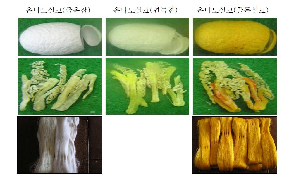 은나노 첨식 누에