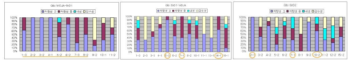 신규 형질전환체 (T1)의 벼멸구 저항성 정도 Glb::VrDJA-BrD1 (좌), Glb::BrD1-VrDJ A (중), Glb::BrD2 형질전환계통(우)
