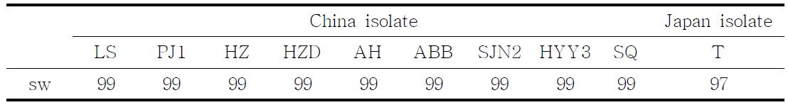 RSV-CP-SW 유전자의 중국, 일본 isolate와의 염기서열 상동성