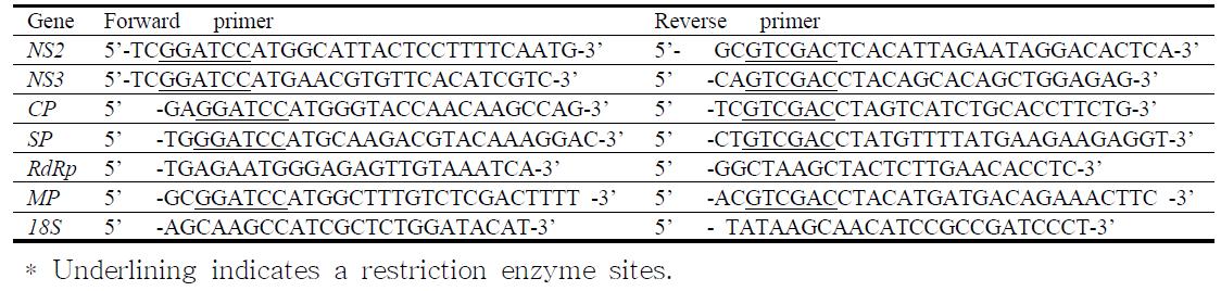 바이러스 유전자 발현 패턴분석을 위한 RT-PCR용 Primer 목록