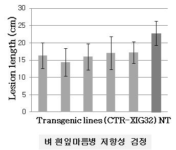 CTR-XIG32유전자과발현체의 병 검정