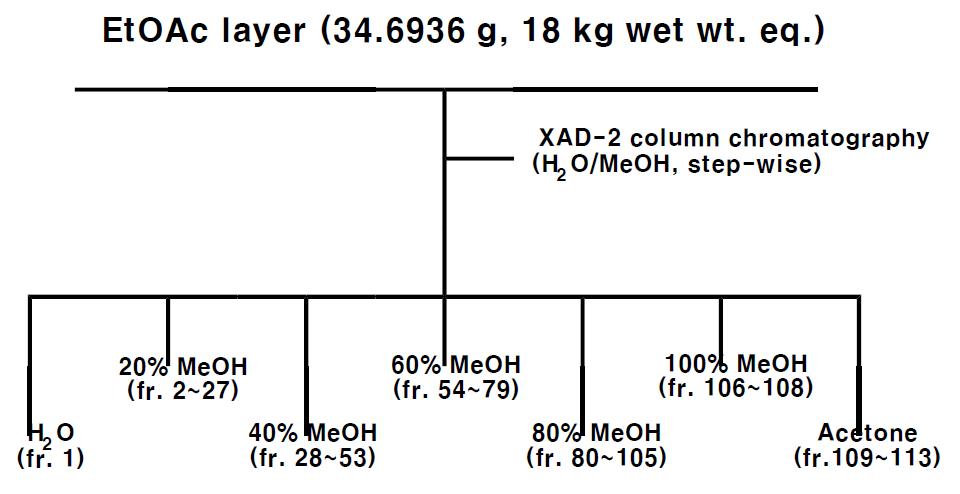 용매분획 후 얻어진 EtOAc 획분의 Amberlite XAD-2 column chromatography 과정.