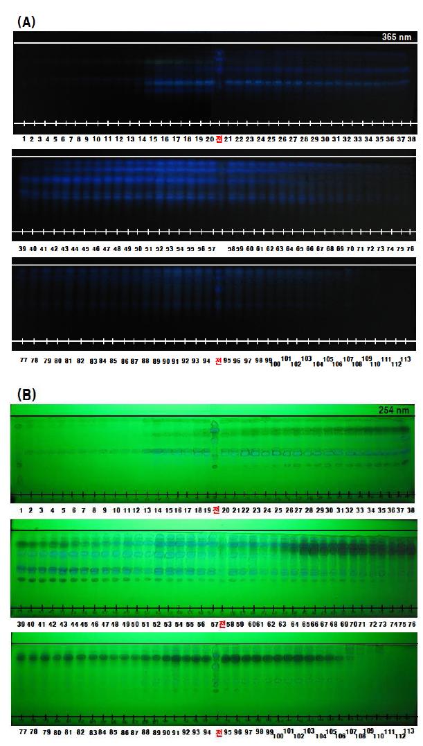 EtOAc층의 Amberlite XAD-2 column chromatography 후 TLC 분석 결과.