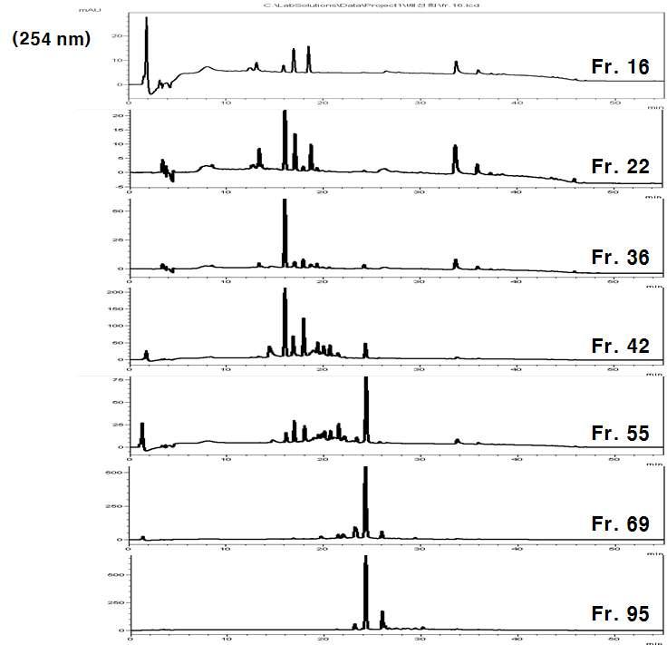 EtOAc 획분의 Amberlite XAD-2 C.C. 후 일부 획분들(fr. 16, 22, 36, 42, 55, 69, 95)의 HPLC 결과 (254 nm; 조건, HPLC-1).