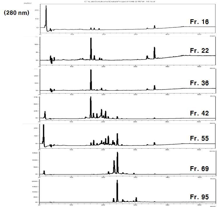 EtOAc 획분의 Amberlite XAD-2 C.C. 후 일부 획분들(fr. 16, 22, 36, 42, 55, 69, 95)의 HPLC 결과 (280 nm; 조건, HPLC-1).