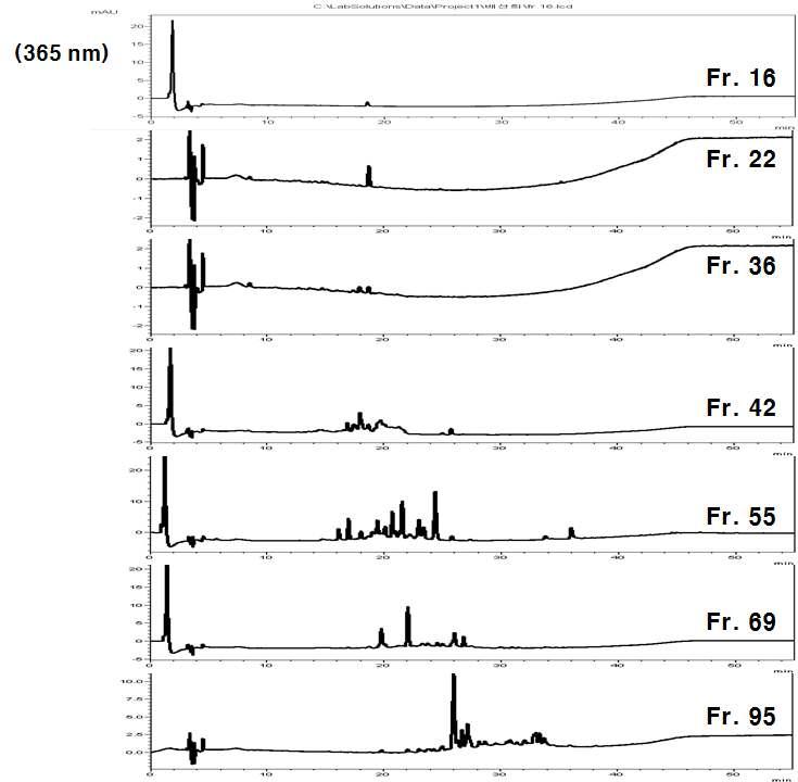 EtOAc 획분의 Amberlite XAD-2 C.C. 후 일부 획분들(fr. 16, 22, 36, 42, 55, 69, 95)의 HPLC 결과 (365 nm; 조건, HPLC-1).