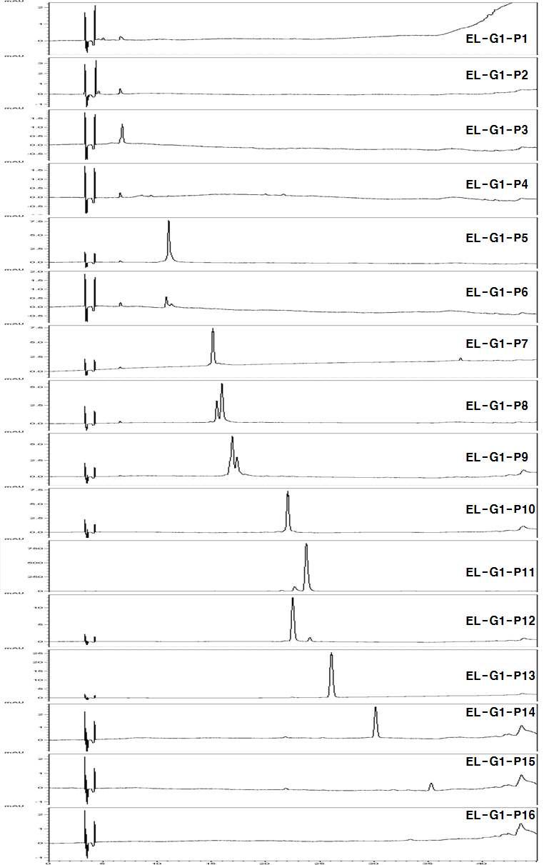 획분 EL-G1의 정제 후 얻어진 peak들의 analytical scale HPLC (조건, HPLC-3)를 이용한 순도 확인.