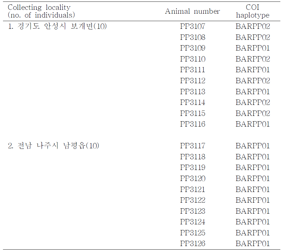 들깨잎말이명나방(P yrausta panopealis)의 채집지역, 개체 번호, COI haplotype 목록